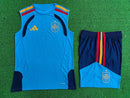 SPAIN TRAINING SET II 25/26 PLAYER VERSION