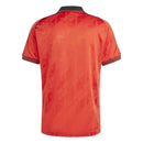 FLAMENGO LIFESTYLER 24/25 MEN'S JERSEY