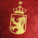 SPAIN COMMA SPECIAL EDITION 2024-25 MEN'S JERSEY