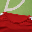 GERMANY TRAINING RED 25/26 MEN'S JERSEY