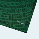 MEXICO I 2026 WORLD CUP MEN'S JERSEY